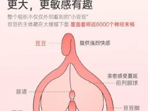 陪读麻麻被弄得高潮不断电影：成人级益智玩具，体验前所未有的快感