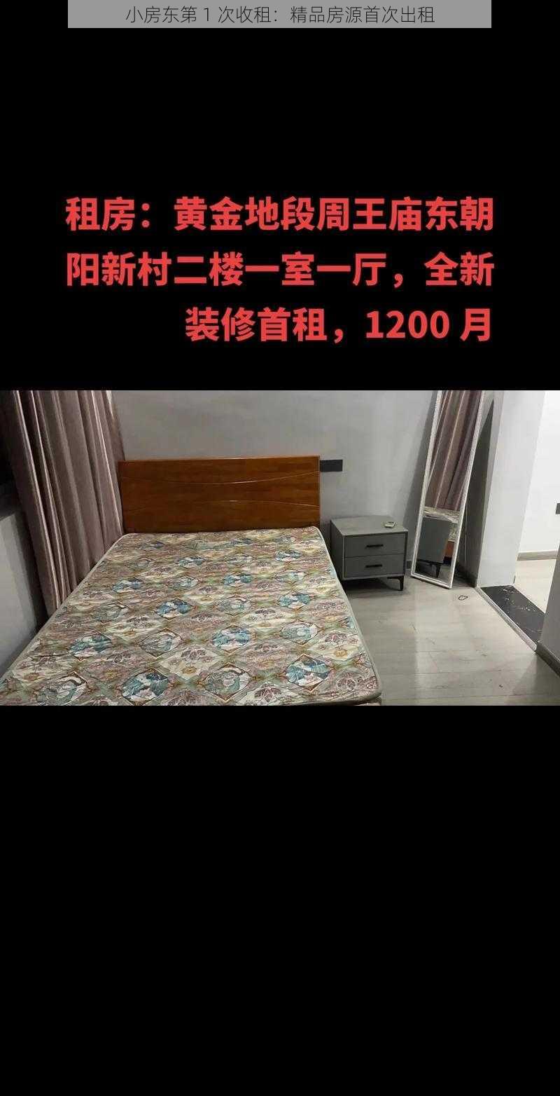 小房东第 1 次收租：精品房源首次出租