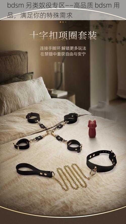 bdsm 另类奴役专区——高品质 bdsm 用品，满足你的特殊需求